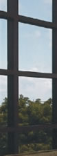 auditorias
